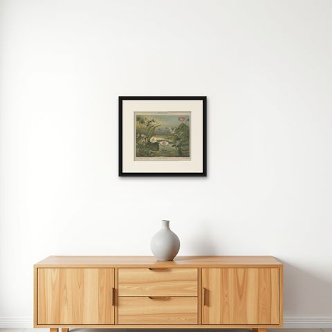 Antique Print of various Aquatic Plants by Meyer 'c.1895', shown framed on a wall