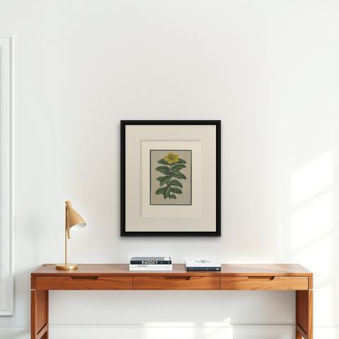 Antique Botany Print of the Hypericum Calycinum by Severeyns 'c.1875', shown framed on a wall
