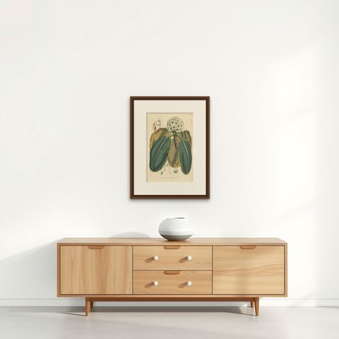 Large Antique Botany Print of The Falconer Rhododendron by Van Houtte, 1849, shown framed on a wall