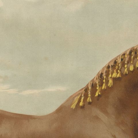 Antique Dutch Gelderland Horse Print by Otto Eerelman, 1898, close-up 1