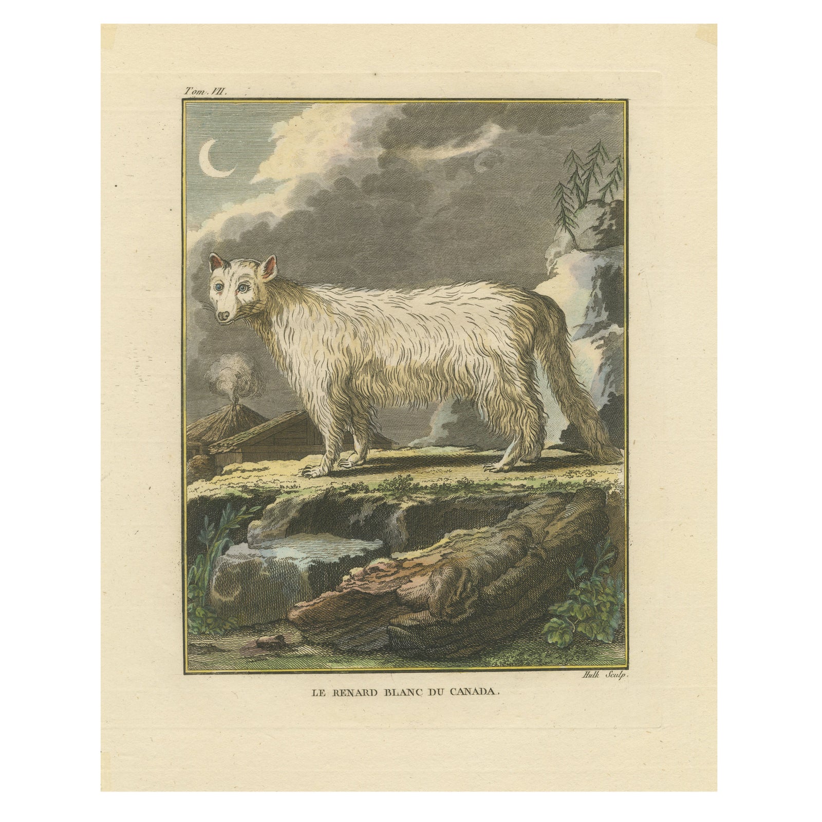 The White Fox of Canada, Elegant Arctic Wildlife Engraving Under Moonlight 1801