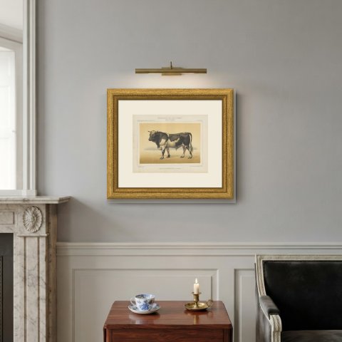 Dutch Bull, Black and White Cattle Chromolithograph by Olivier de Penne, 1863, shown framed on a wall