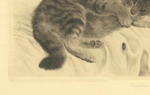 Charming Kitten Etching by Kurt Meyer-Eberhardt, Estate Edition 1977, close-up 1