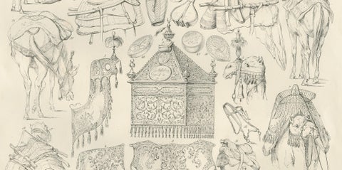 Antique Camel & Caravan Equipment Studies from Maximilian in Bavaria, 1846, close-up 1