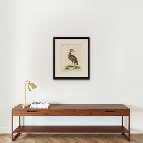 Hand-Colored Engraving of the Hudson Bay Heron by Johann Michael Seligmann, 1770, shown framed on a wall