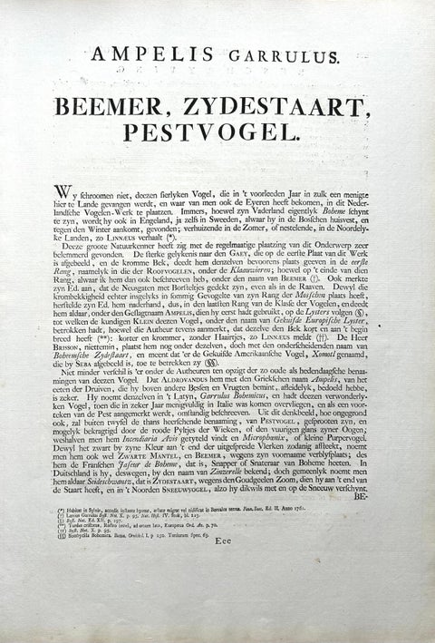 Bohemian Waxwing, Ampelis Garrulus from Nederlandsche Vogelen, 1797, view 10