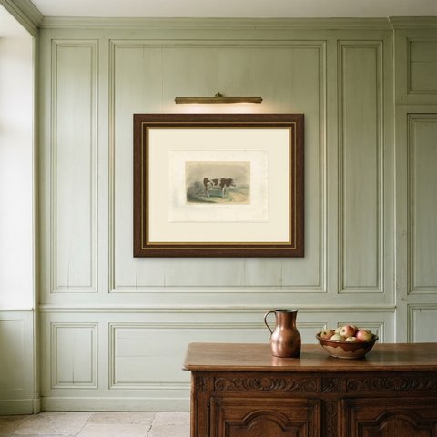Norman Cow, Antique French Cattle Print after Melin, 1873, shown framed on a wall