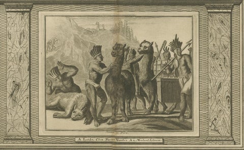 Original Antique Engraving of Peruvian Llamas by Arnoldus Montanus, c.1671, close-up 2
