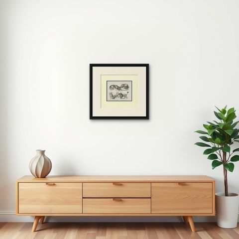 Antique Print of various Dog Breeds by Schinz '1845', shown framed on a wall