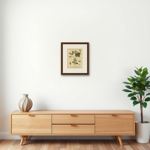 English Moths and Caterpillars on Hawthorn & Flowering Plant, Antique Print 1720, shown framed on a wall