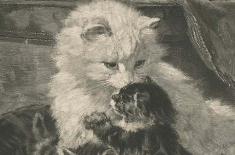 "Mother's Love" - Cats and Kittens by Henriette Ronner (1894), close-up 2