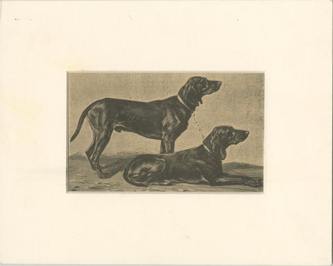 Swiss Hound Briquets, Antique Dog Print, circa 1880, French Publication