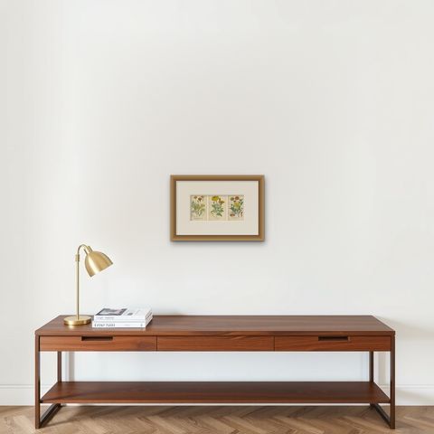 Botanical Prints: French Marigold, African Marigold & Gaillardia Pulchella, 1897, shown framed on a wall