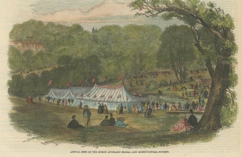 Victorian Leisure: Balloon Races at Cremorne and Floral Fêtes at Bishop Auckland, close-up 3