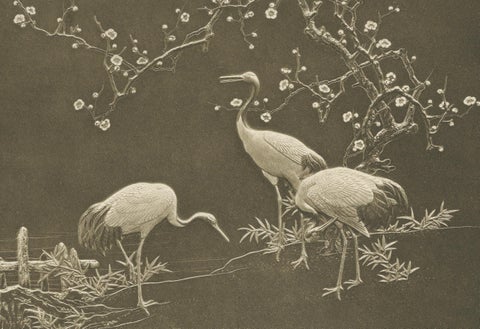 Cranes and Blossoms in a Japanese Ornamental Scene, Heliograph by Audsley 1884, close-up 3