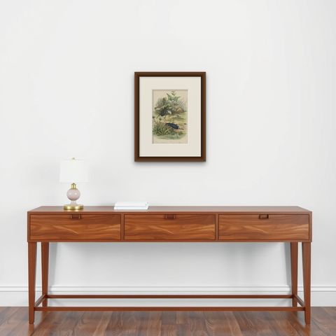 Antique Print of Beetles, Published in 1854, shown framed on a wall