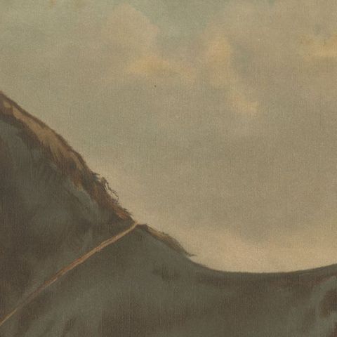 Antique Print of the Russian Half-Blood Horse by O. Eerelman, 1898, close-up 3