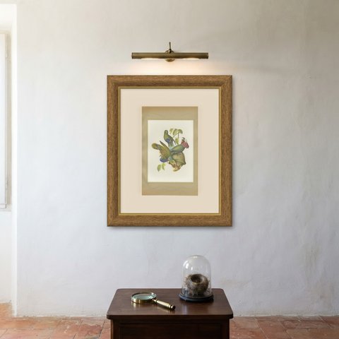 Amazon Parrots, Brazilian Bird Print, Descourtilz, 1944, shown framed on a wall