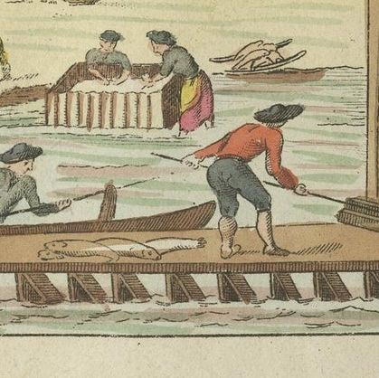 Antique Fish Print of Whiting, Hake and Workers gutting and salting fish, close-up 2
