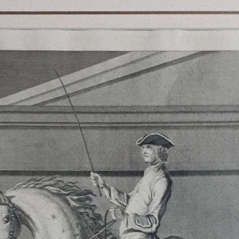 Antique Horse Print 'Croupade' by J. E. Ridinger, circa 1750, close-up 1