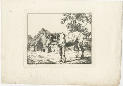 Rustic Farm Horse Study, English Animal Etching by Robert Hills, 1801, view 2
