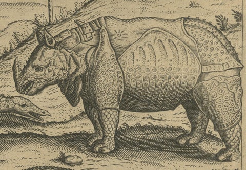 Original Copper Engraving of Various Celebrated Animals in India by De Bry, 1601, close-up 3