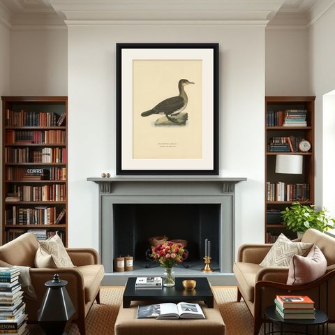 Antique Bird Print of a Young Great Cormorant by Von Wright, 1929, shown framed in a room