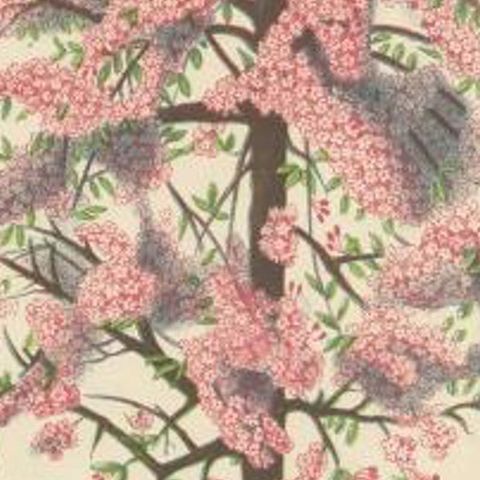 Antique Botany Print of a Japanese Crab Apple by Hoffmann, 1865, close-up 2