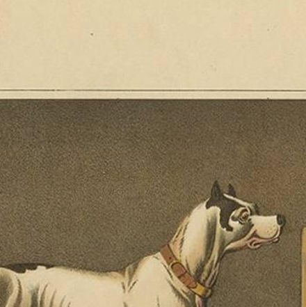 Antique Aquatint of a Dog named 'Crab' by J. Clark, circa 1820, close-up 1