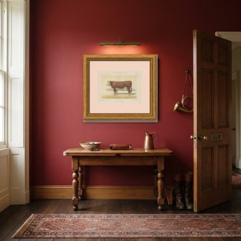 Hereford Bull, British Cattle Chromolithograph from Animaux de la Ferme, 1863, shown framed in a room