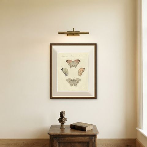 Exotic Butterfly with Wing Details, Antique Bertuch Print, Vienna, circa 1812, shown framed on a wall