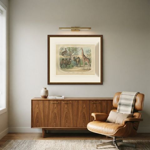 Antique Giraffe and Camel Print with Dromedary and Llama, Kolb, circa 1890, shown framed in a room