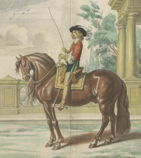 Equestrian Dressage Horse Print Original Handcolored Antique Engraving , 1743, close-up 1