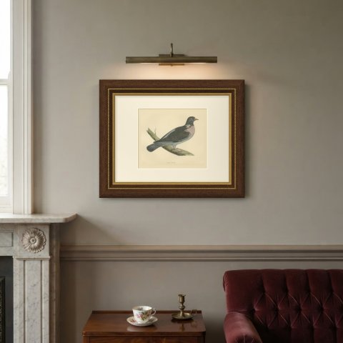 Ring Dove or Wood Pigeon on a Mossy Bough, Hand Colored Print, Morris, 1896, shown framed on a wall