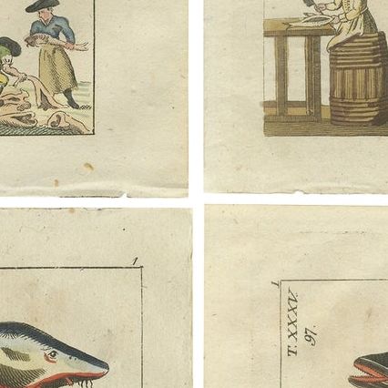 Set of 4 Antique Fish Prints - Beluga Sturgeon - Pollock - Atlantic Cod, close-up 2