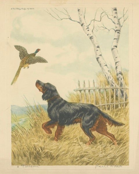 Vintage Lithograph “Setter and Pheasant” by Paul Wood, New York, 1930s, close-up 6