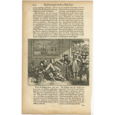 Rare Antique Print of the Catching of a Snake By Europeans in Asia, 1672, view 2