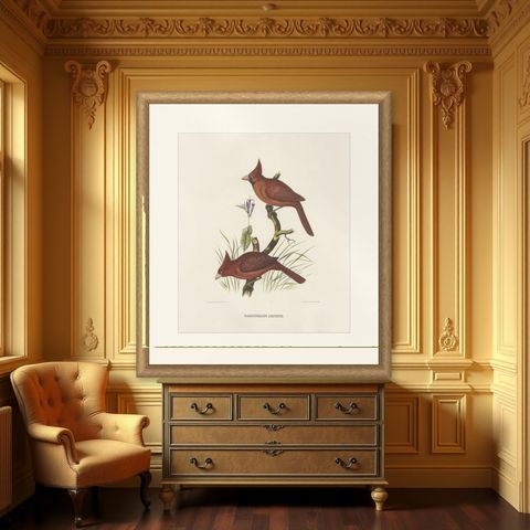 Large Old Hand-Colored Print of Northern Cardinals from Northern America, 1869, shown framed in a room