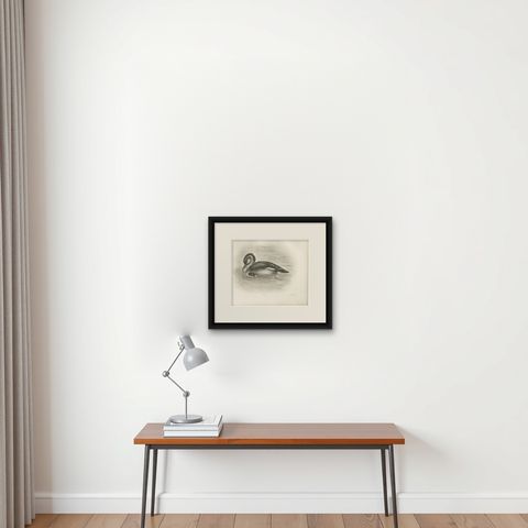 Merganser and Young, Antique Bird Print after Lilian Medland, circa 1909, shown framed on a wall