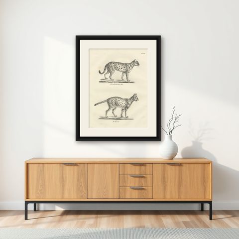 19th-Century Lithograph of the Gentle Cat and the Serval in Elegant Poses, shown framed on a wall
