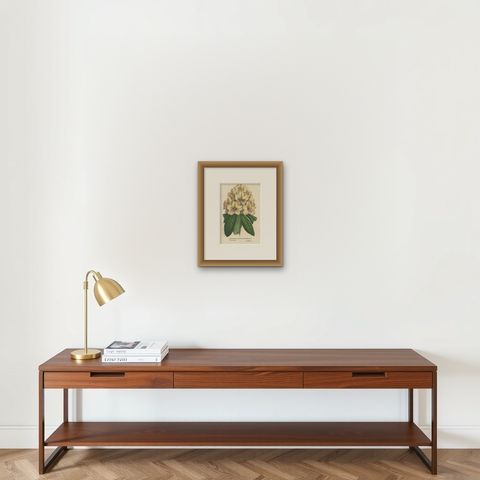 Decorative Original Antique Flower Print of the Rhododendron Carneum, c.1880, shown framed on a wall