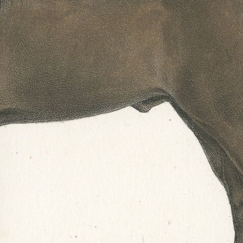 Antique Horse Print of a Persian Stallion, close-up 2