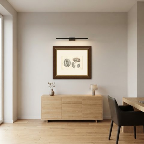 The Fornix and Choroid Plexus, Antique Hirschfeld Anatomy Print, 1866, shown framed in a room