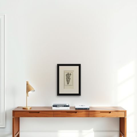 Antique Print of the Myrtus or Myrtle Plant by Cook, 1803, shown framed on a wall