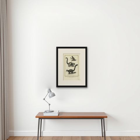 Antique Handcolored Engraving of Vari Monkey, Mongoose, Lori Print, 1774, shown framed on a wall