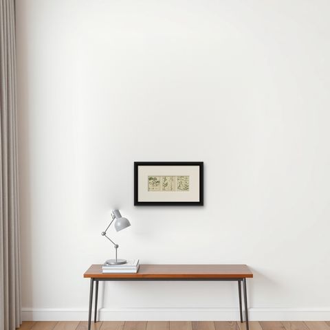Engravings of European Wild Ginger, Prickly Lettuce, and Common Soapwort, 1819, shown framed on a wall