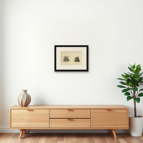 Set of 2 Decorative Antique Cactus Prints, circa 1910, shown framed on a wall