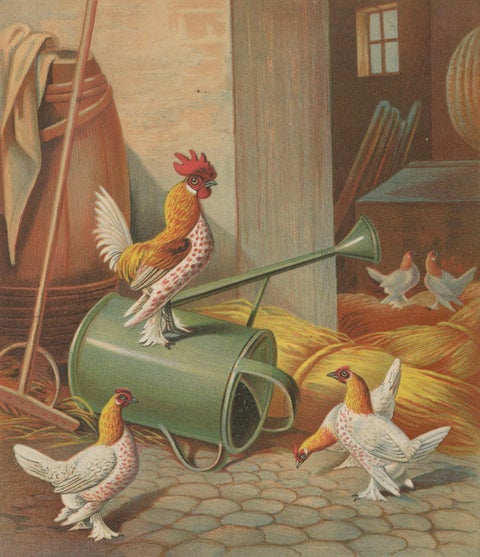 The Charming Krielhoenders - A 19th Century Poultry Lithograph, close-up 4