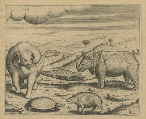Original Copper Engraving of Various Celebrated Animals in India by De Bry, 1601, close-up 1