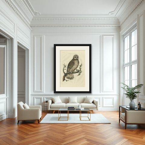 Antique Bird Print of a Male Strix Owl by Sepp & Nozeman, 1770, shown framed in a room